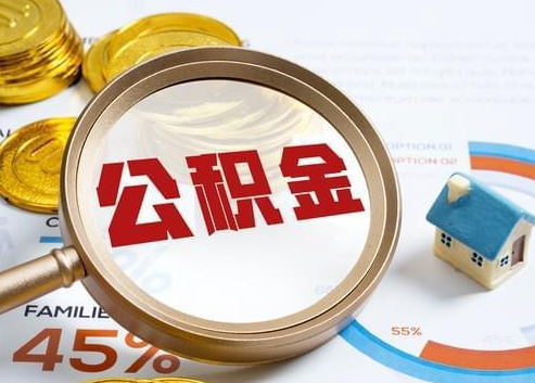 北海2025年政策调整对个人影响综合解析